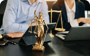 Professional and Legal Services