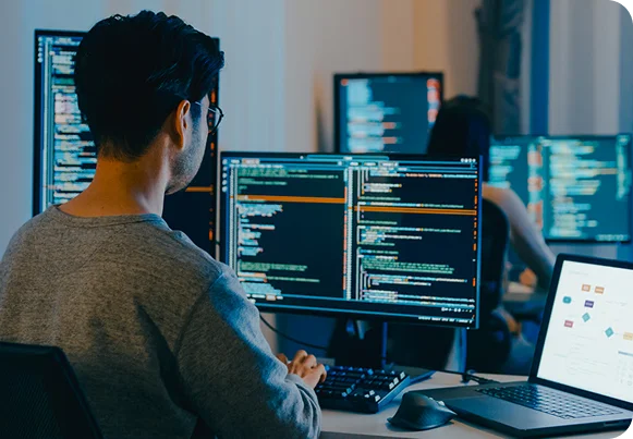 Enterprise System Integration